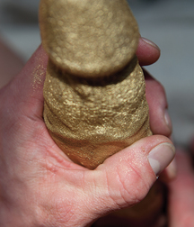 Cocks 5df419402bc33.jpg