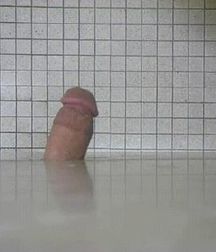 Cocks 5df4194f08dc5.jpg