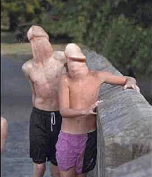 Cocks 5df419533610f.jpg