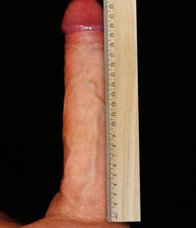 Cocks 5df4195cd27c5.jpg