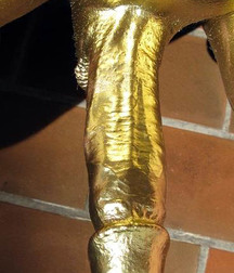 Cocks 5df4195ec7594.jpg