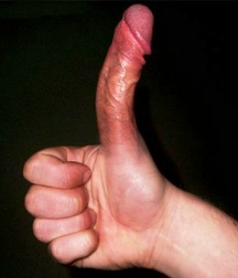Cocks 5df4196b75a24.jpg