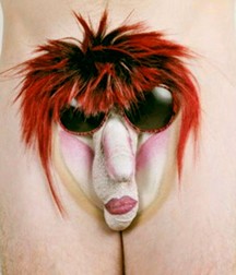 Cocks 5df4198026710.jpg