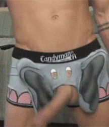 Cocks 5df4198e40578.gif