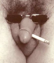 Cocks 5df41990b3e38.jpg