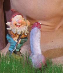 Cocks 5df4199512ed5.jpg