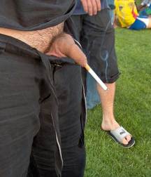 Cocks 5df419a2181fe.jpg