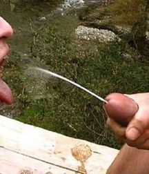 Gotta Pee 2 5df7f6770edb1.jpg