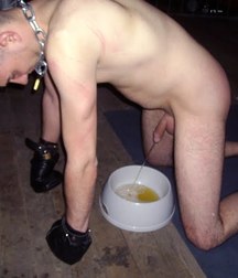 Gotta Pee 4 5df81a6135a24.jpg