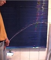 Gotta Pee 5 5df81d99b2534.jpg