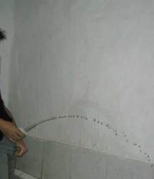 Gotta Pee 5 5df81e5f196dc.jpg