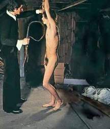 Bound Boys 2 5df8548077146.jpg