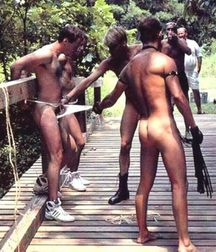 Bound Boys 2 5df855b80391b.jpg