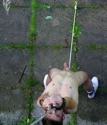 Bound Boys 5 5df8622743f72.jpg
