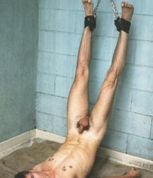 Bound Boys 7 5df86d0d2a9f5.jpg