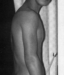 Vintage Senior High Asses Boys Porn 5eff953a066ec.jpg
