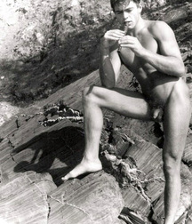 Vintage Musicians Gay Porn Image 624c880c2a115.jpg