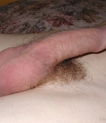 Ziggy 5b7deb34cb509.jpg