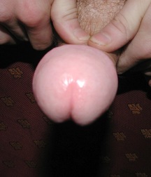 Ziggy 5b7debba3b99a.jpg
