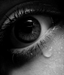 Look into these eyes 5793d68c611ba.jpg