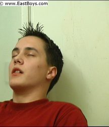 Martin [Roland] Laska video screens