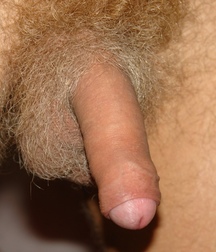 Sweety 57dd5550c6971.jpg