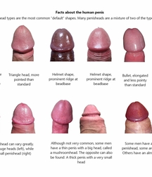 Long thick cocks and hairy bushes 5a9f1d5f021fe.jpg