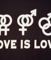 Gay Captions 5ee2589adeecd.jpg