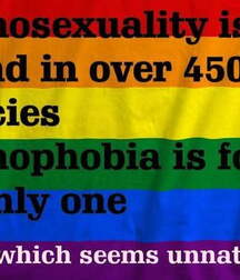 Gay Captions 5ee25a44687ee.jpg