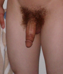 Brett 5998b029ca5eb.jpg