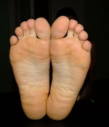 Masa's Feet 5bddbb14cf5ce.jpg