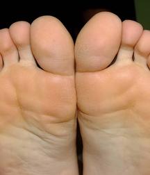 Masa's Feet 5bddbb26ea6bc.jpg