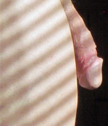Robert Downey Jr and a Selfie or Two 590c00672839f.jpg