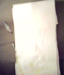 Uncut Straight 24 year old boy William Bromley from UK 59d67cef1d25c.jpeg