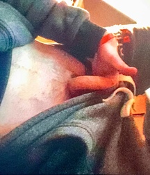 Uncut Straight 24 year old boy William Bromley from UK 59d67d2f33f00.jpeg