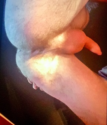 Uncut Straight 24 year old boy William Bromley from UK 59d67da7d706d.jpeg