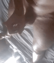 Steffan Lemke-Elms exposed celebrity  5c12abb7abe95.gif