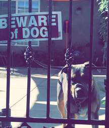 MIX BOYS 26 5c315974e0114.jpg