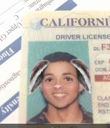 MIX BOYS 26 5c3159763be75.jpg