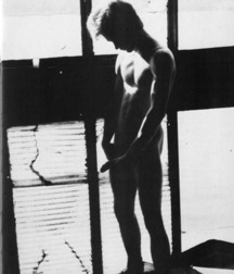 Tommy Wilde and Friends 56fe78d3d4b79.jpg