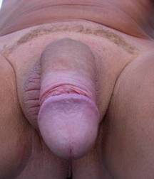 Genital Giants Part 2 5a13897aa15bf.jpg