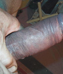 Genital Giants Part 3 5a14f6579dfa3.jpg