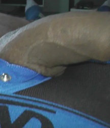 My cock pics 57fd822698f13.jpg