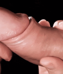 Nice boys hard  5ef6888fb8fb7.gif