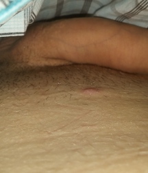 my pics 5a905c67bad00.jpg