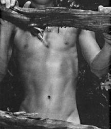 Web finds 272 5cf7af23103f9.jpeg