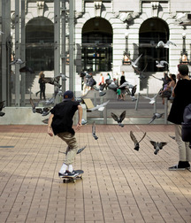 17th Album  5737792bc9ea4.jpg