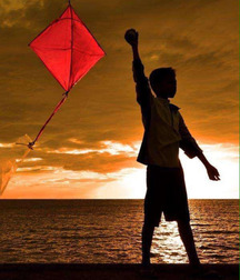 17th Album  5737793a2236f.jpg