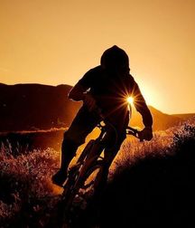 19th Album 5c4f39c6bdfcb.jpg