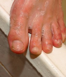 Ron, a clean Boy 5c3eb93bac65c.jpg